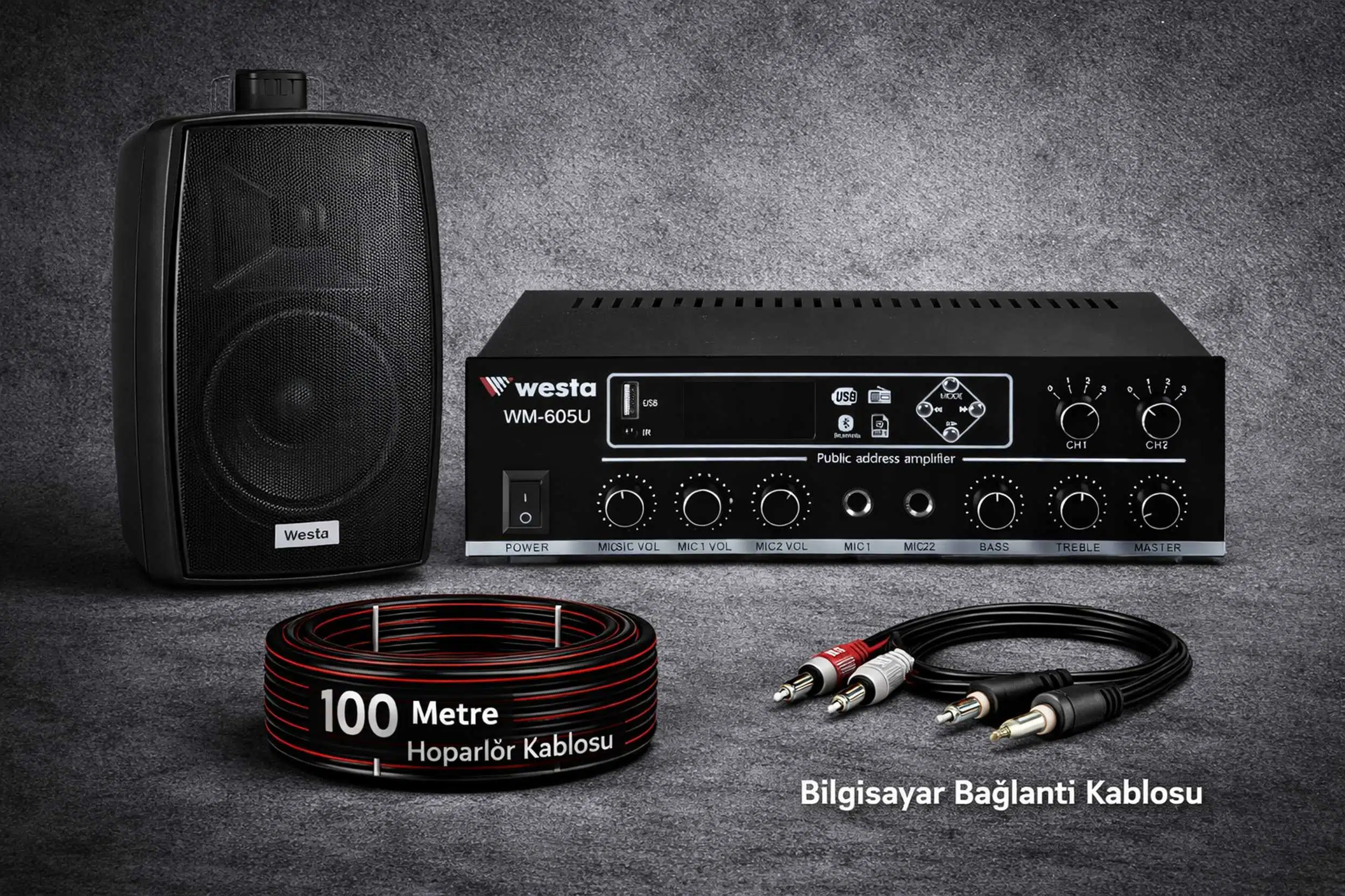 Ten, 1 Hoparlörlü Anfi Ses Sistemi | Mağaza, Cafe ve Restoran, Cami İçin Large Paket