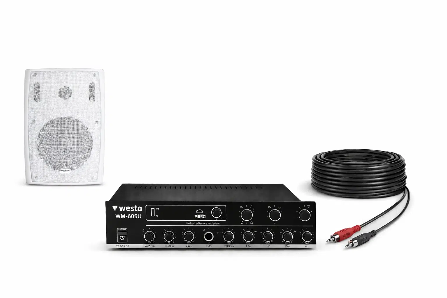 Ten, 1 Hoparlörlü Anfi Ses Sistemi | Mağaza, Cafe ve Restoran, Cami İçin XLarge Paket Beyaz