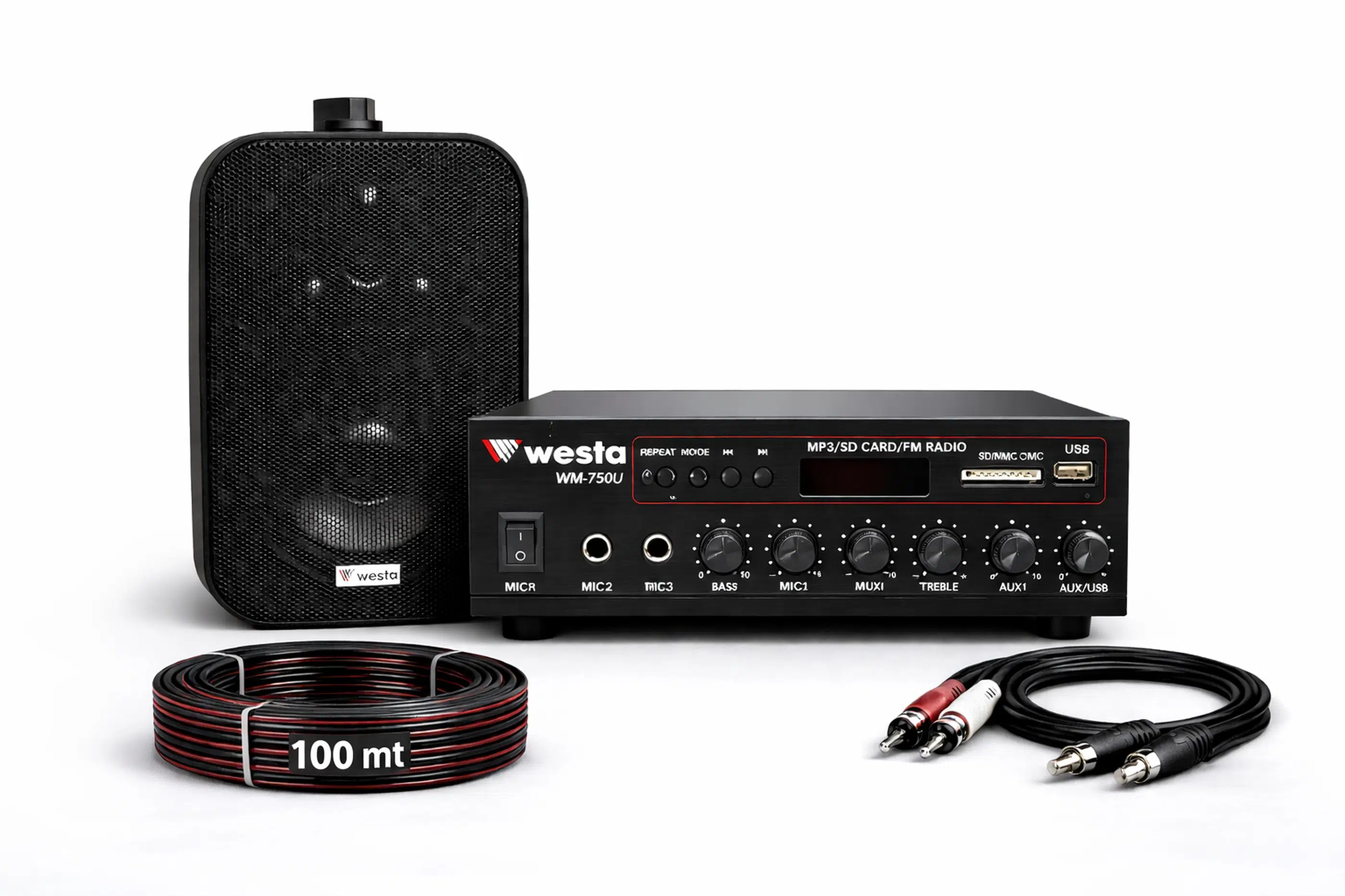 Ten, 1 Hoparlörlü Anfi Ses Sistemi | Mağaza, Cafe ve Restoran İçin Medium Paket