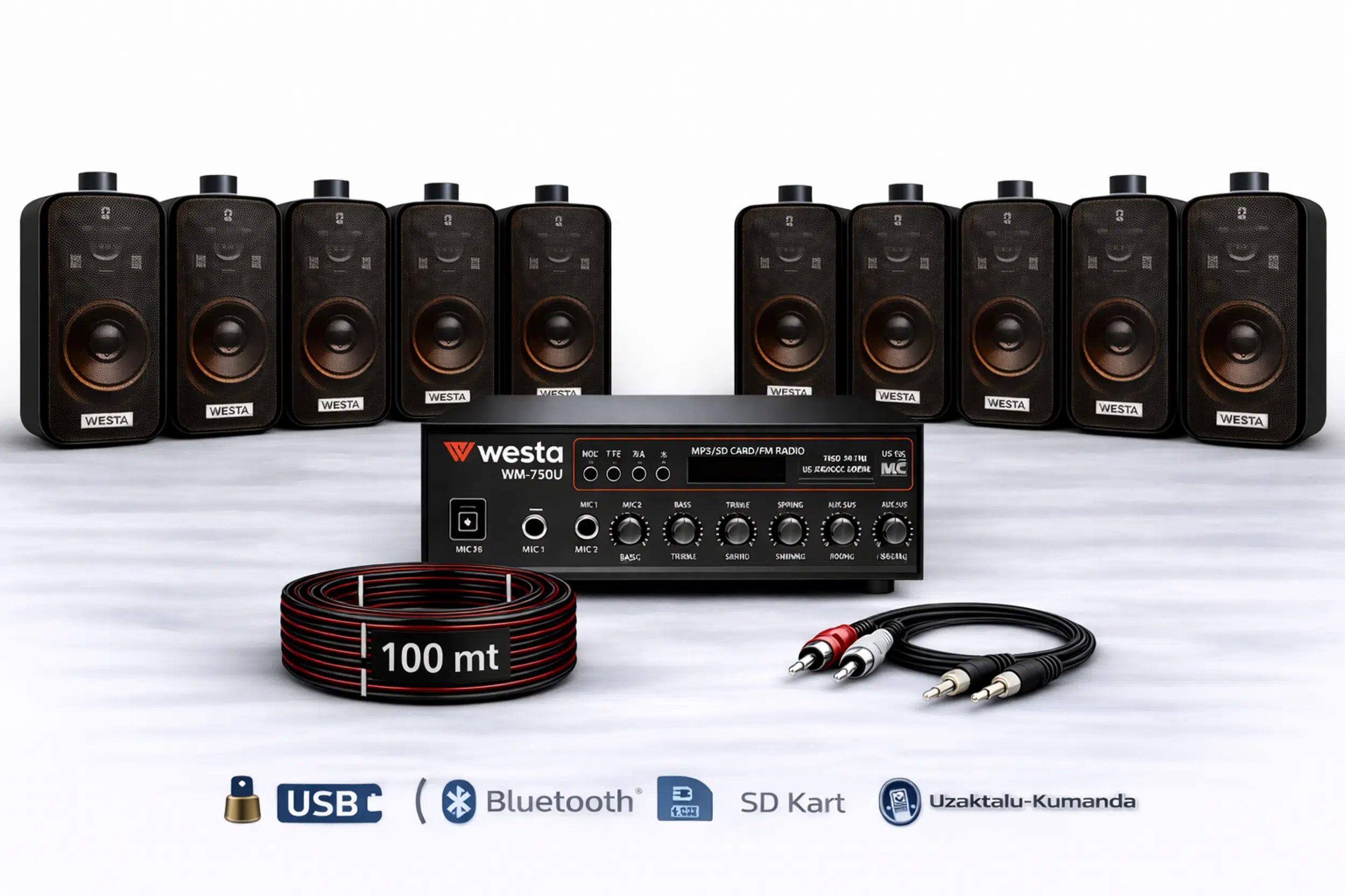 Ten, 10 Hoparlörlü Anfi Ses Sistemi | Mağaza, Cafe ve Restoran İçin Medium Paket