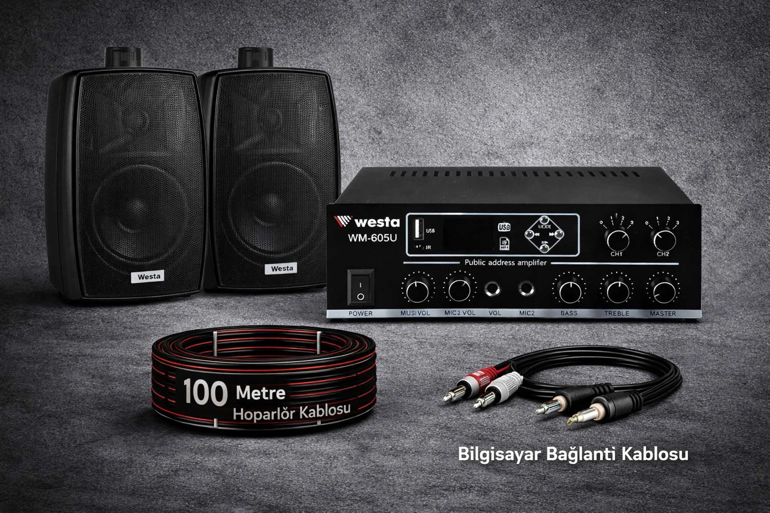 Ten, 2 Hoparlörlü Anfi Ses Sistemi | Mağaza, Cafe ve Restoran, Cami İçin Large Paket