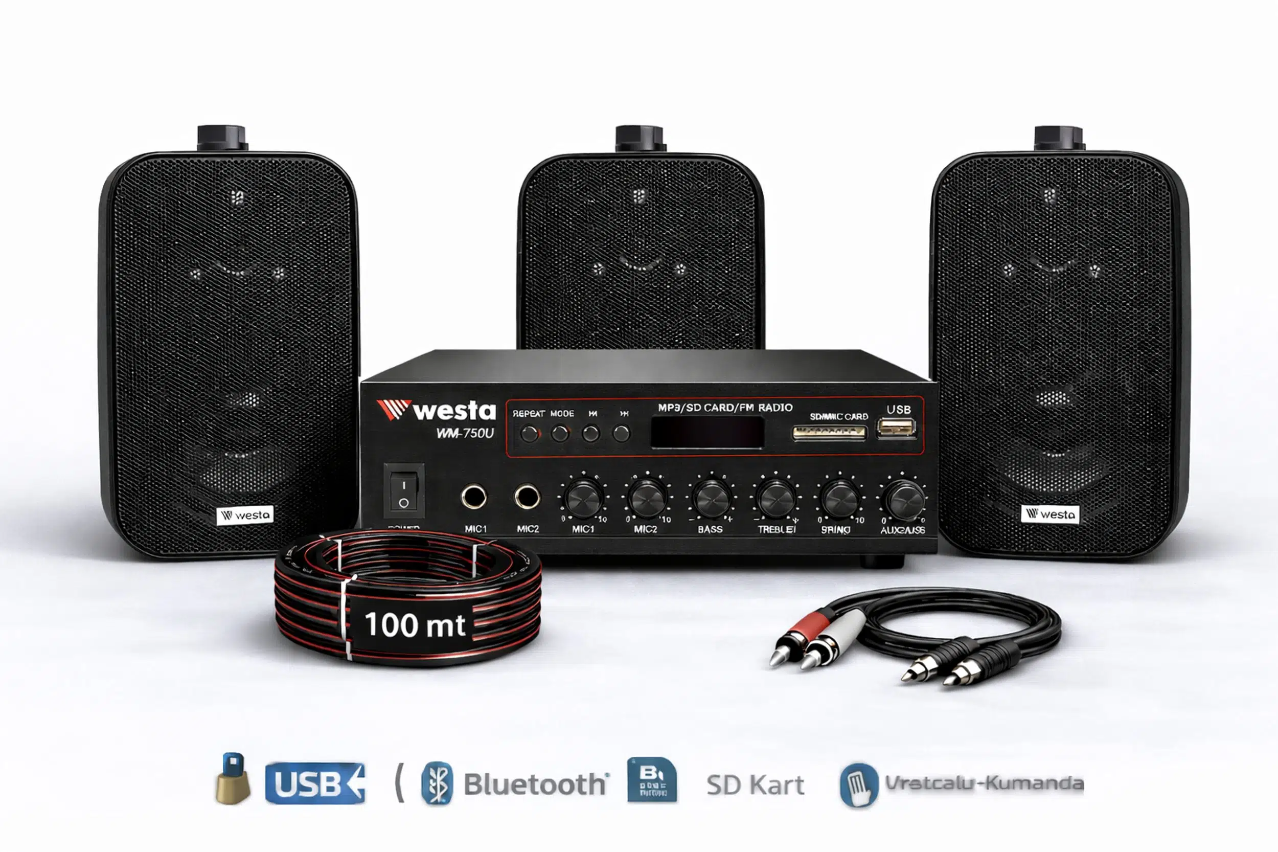 Ten, 3 Hoparlörlü Anfi Ses Sistemi | Mağaza, Cafe ve Restoran İçin Medium Paket