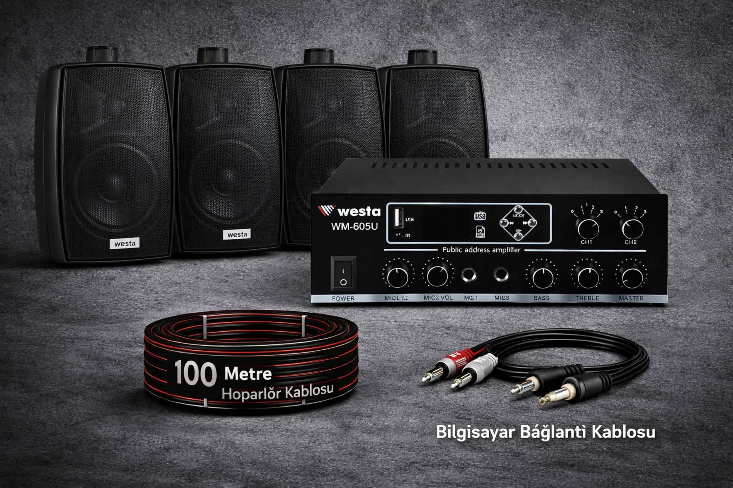 Ten, 4 Hoparlörlü Anfi Ses Sistemi | Mağaza, Cafe ve Restoran, Cami İçin Large Paket