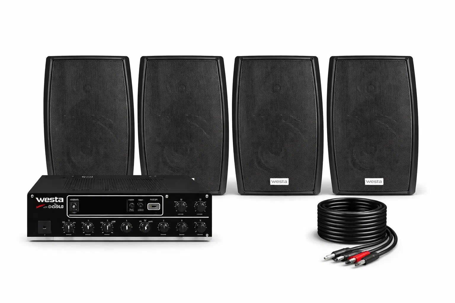 Ten, 4 Hoparlörlü Anfi Ses Sistemi | Mağaza, Cafe ve Restoran, Cami İçin XLarge Paket