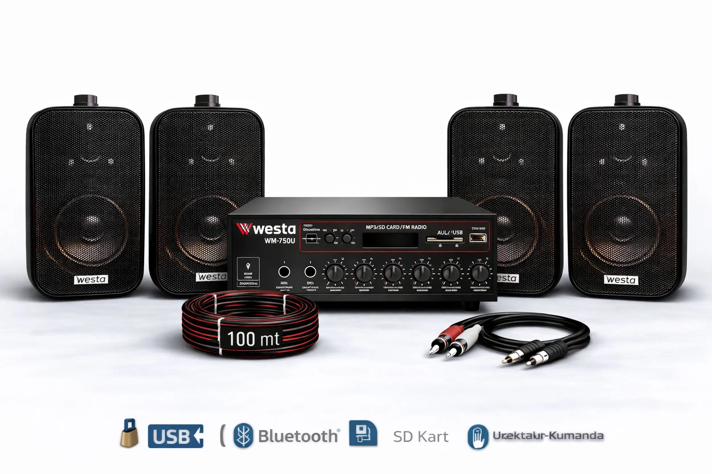 Ten, 4 Hoparlörlü Anfi Ses Sistemi | Mağaza, Cafe ve Restoran İçin Medium Paket