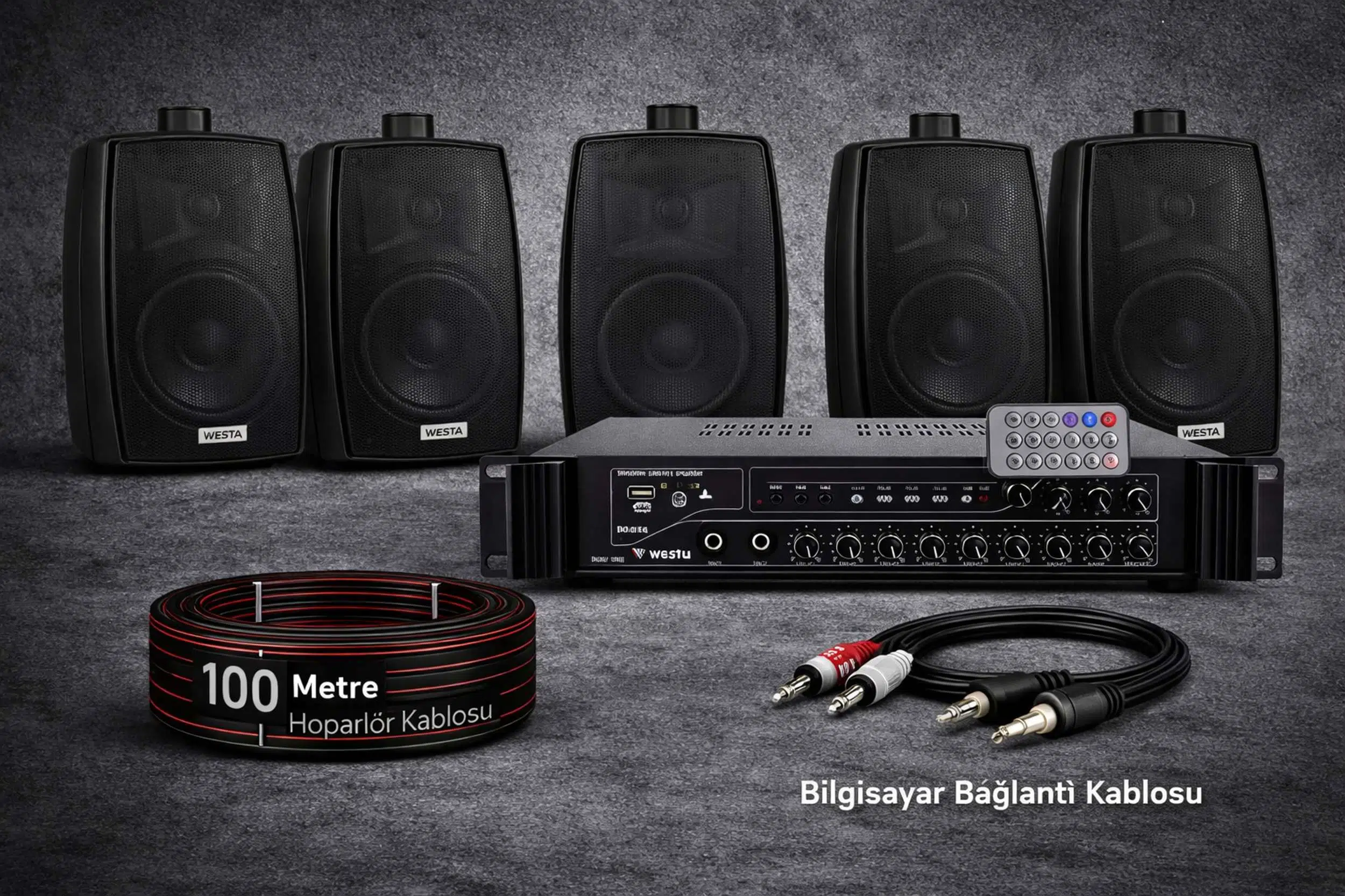 Ten, 5 Hoparlörlü Anfi Ses Sistemi | Mağaza, Cafe ve Restoran, Cami İçin Large Paket