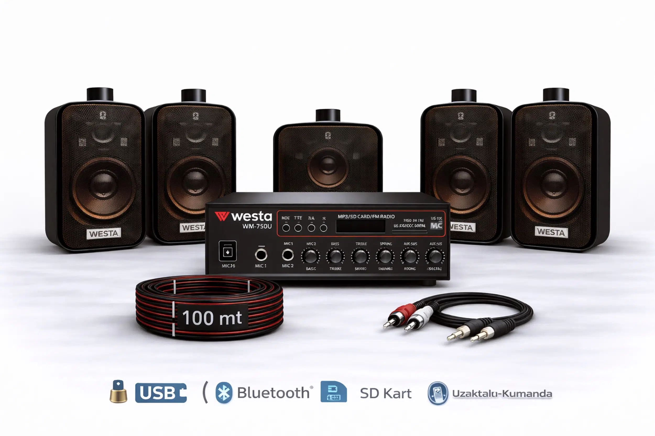 Ten, 5 Hoparlörlü Anfi Ses Sistemi | Mağaza, Cafe ve Restoran İçin Medium Paket