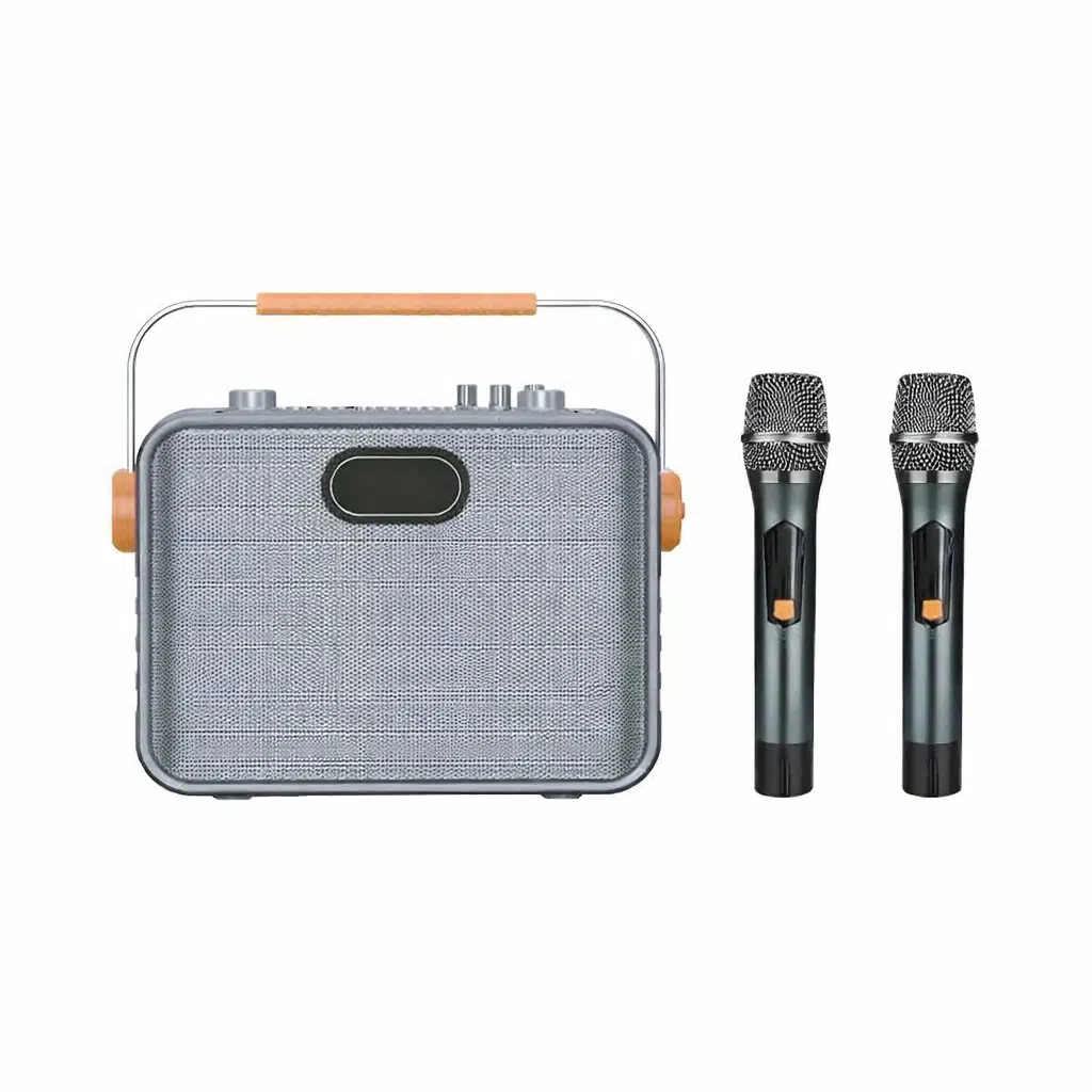 Ten,6,5'' Profesyonel Kablosuz Çift El Mikrofonlu Taşınabilir Amfi, Gitar Girişli Ses Sistemi | Mevlid & Organizasyon Amfisi