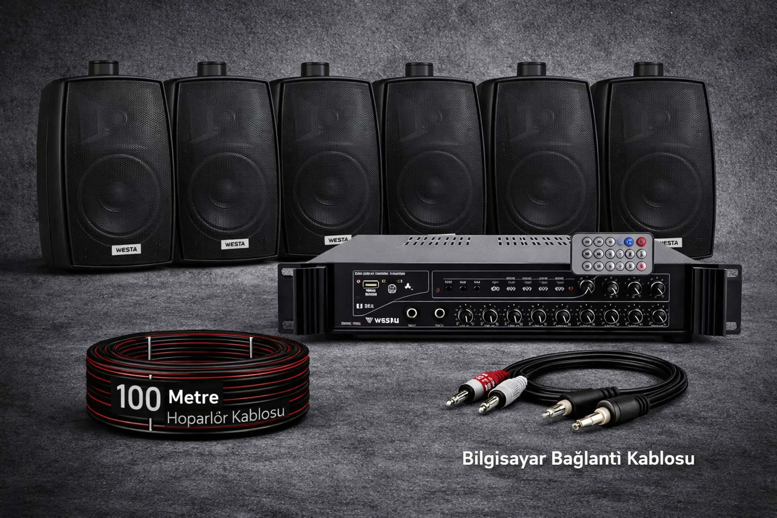 Ten, 6 Hoparlörlü Anfi Ses Sistemi | Mağaza, Cafe ve Restoran, Cami İçin Large Paket