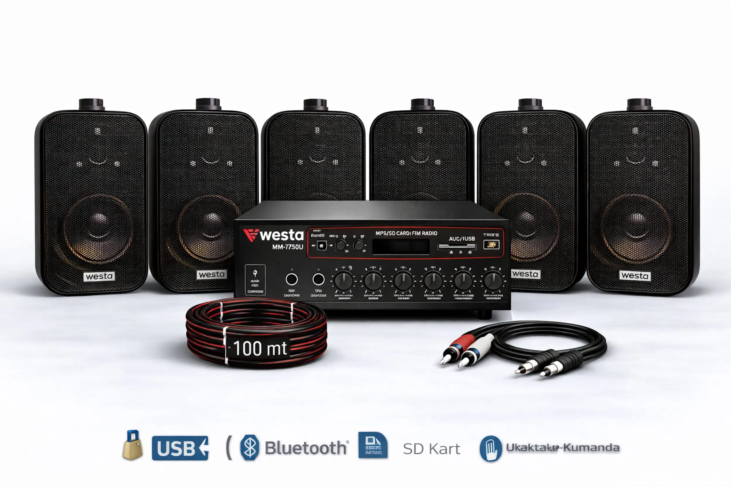 Ten, 6 Hoparlörlü Anfi Ses Sistemi | Mağaza, Cafe ve Restoran İçin Medium Paket