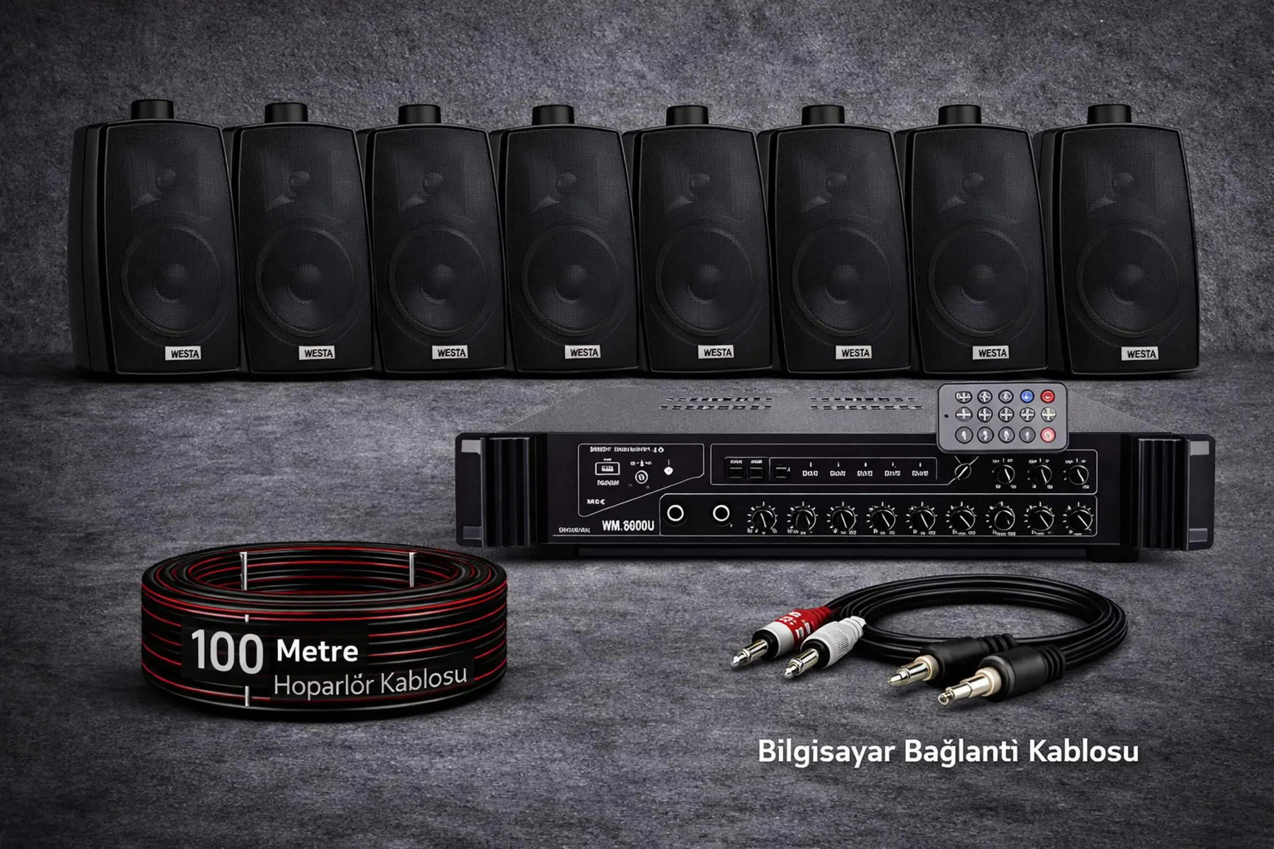 Ten, 8 Hoparlörlü Anfi Ses Sistemi | Mağaza, Cafe ve Restoran, Cami İçin Large Paket