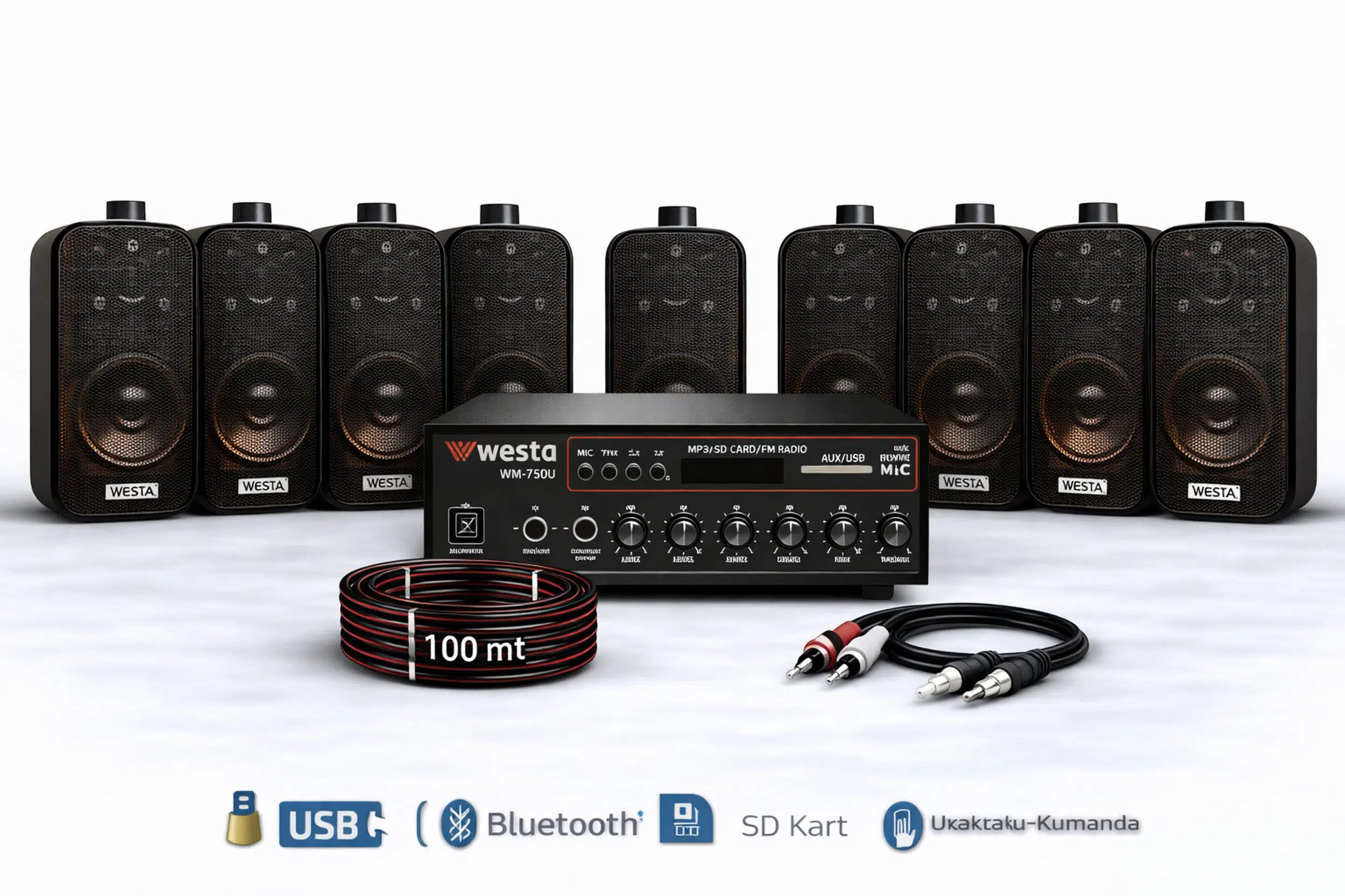 Ten, 9 Hoparlörlü Anfi Ses Sistemi | Mağaza, Cafe ve Restoran İçin Medium Paket