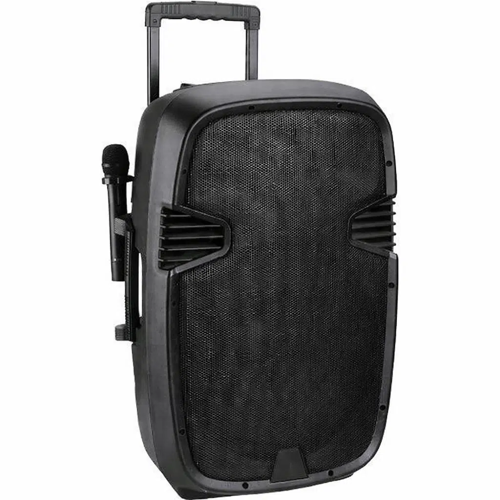 Ten,Profesyonel 15'' Çift El Mikrofonlu Taşınabilir Ses Sistemi, Bluetooth, USB, Şarjlı Profesyonel Hoparlör